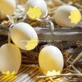 10PCS Eggs String Lights